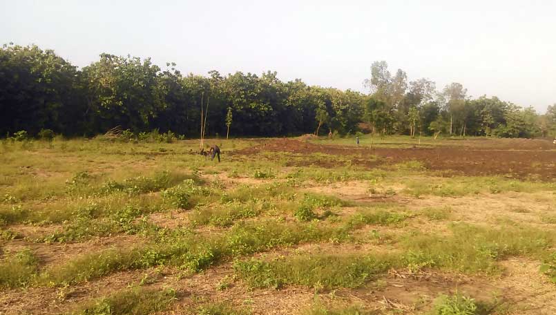 Ben Hur, projet d'éco village au Togo
