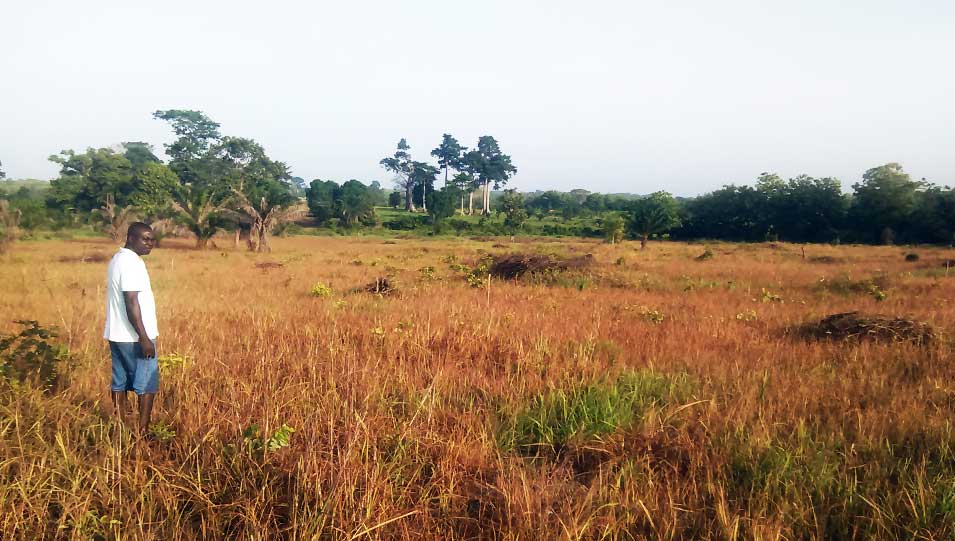 Benoît Farara Koffi nous présente Ben Hur, son projet d’éco village au Togo