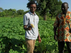 Agriculture biologique Burkina Faso