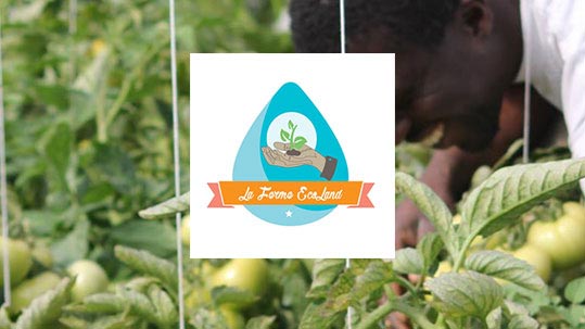 Sekou soutient la ferme Ecoland